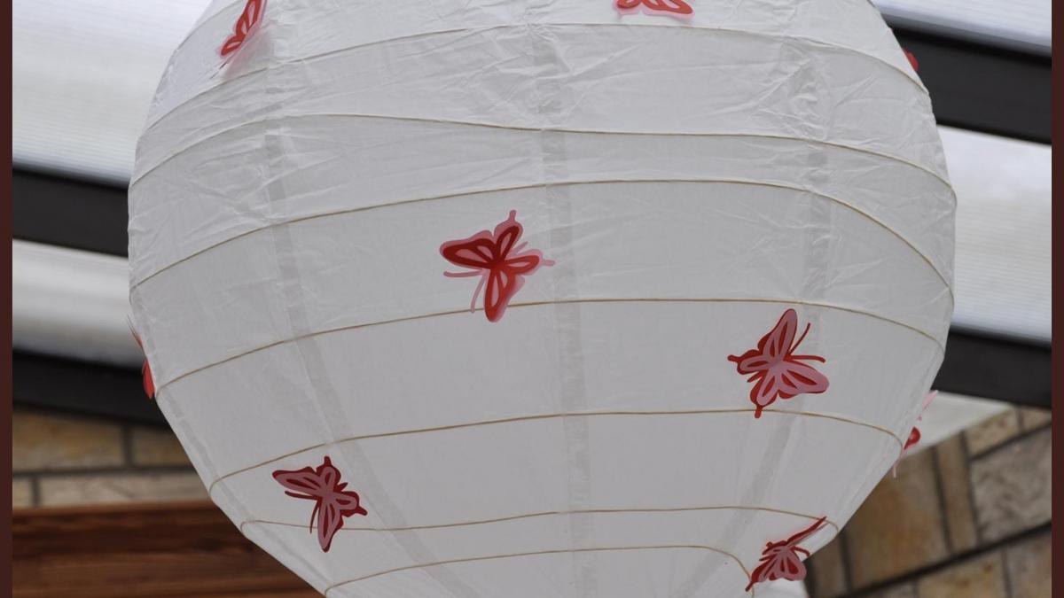 Une envolée de papillons